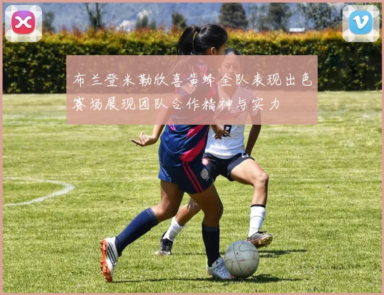 布兰登米勒欣喜黄蜂全队表现出色赛场展现团队合作精神与实力