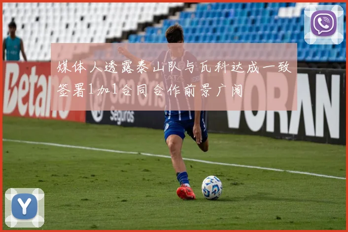 媒体人透露泰山队与瓦科达成一致签署1加1合同合作前景广阔